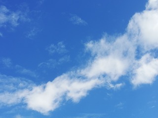 1013351