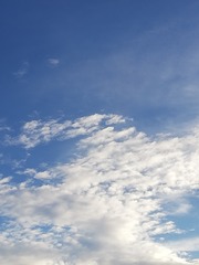 1013363