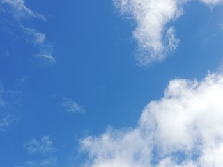 1013352