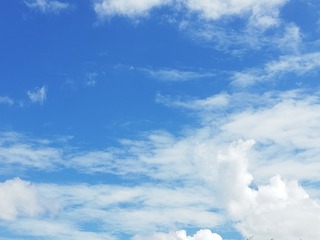 1013345