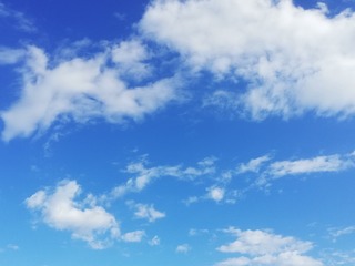 1013358