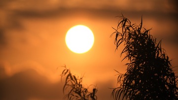41791D7B-92E9-46EA-9577-C2C9ACCD2031/L0/001