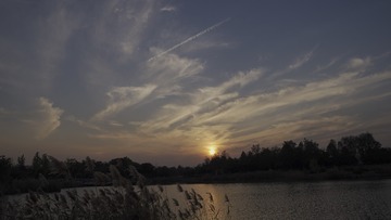 1000023563