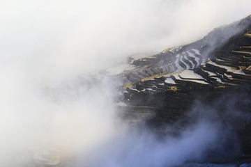960