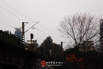 DSC00003.JPG