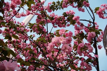 DSC00368.JPG