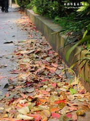 DSC00375.JPG