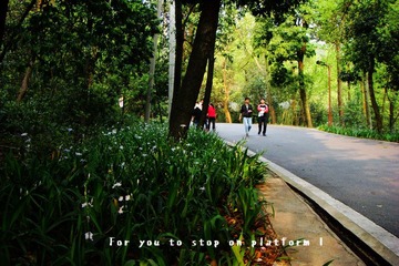 DSC00393.JPG