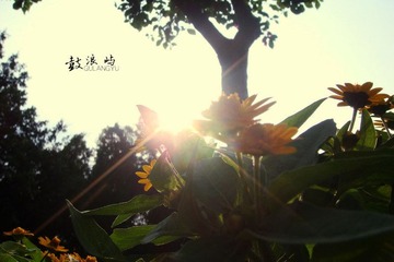 DSC04616.JPG