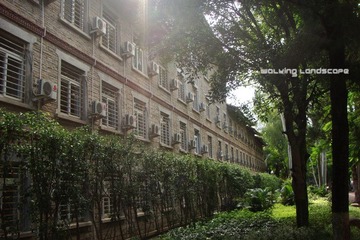 DSC04475.JPG