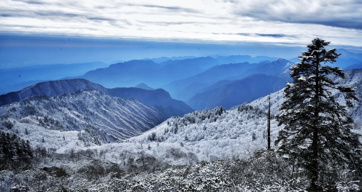 冬日暖阳来看雪成都西岭雪山