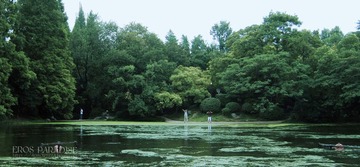 11逍遥津7.jpg