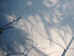 逍遥津苗圃.jpg