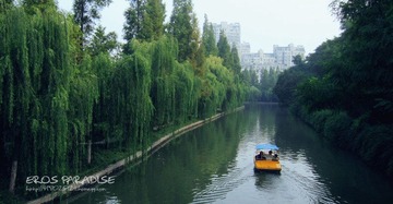 杏花公园的下午 (2).jpg