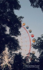 杏花公园的下午 (3).jpg