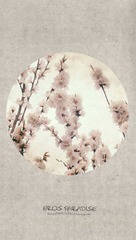 茭白成品.jpg