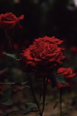 0DAB98F7-AF8C-4F36-80E4-4F0A03D483A0/L0/001