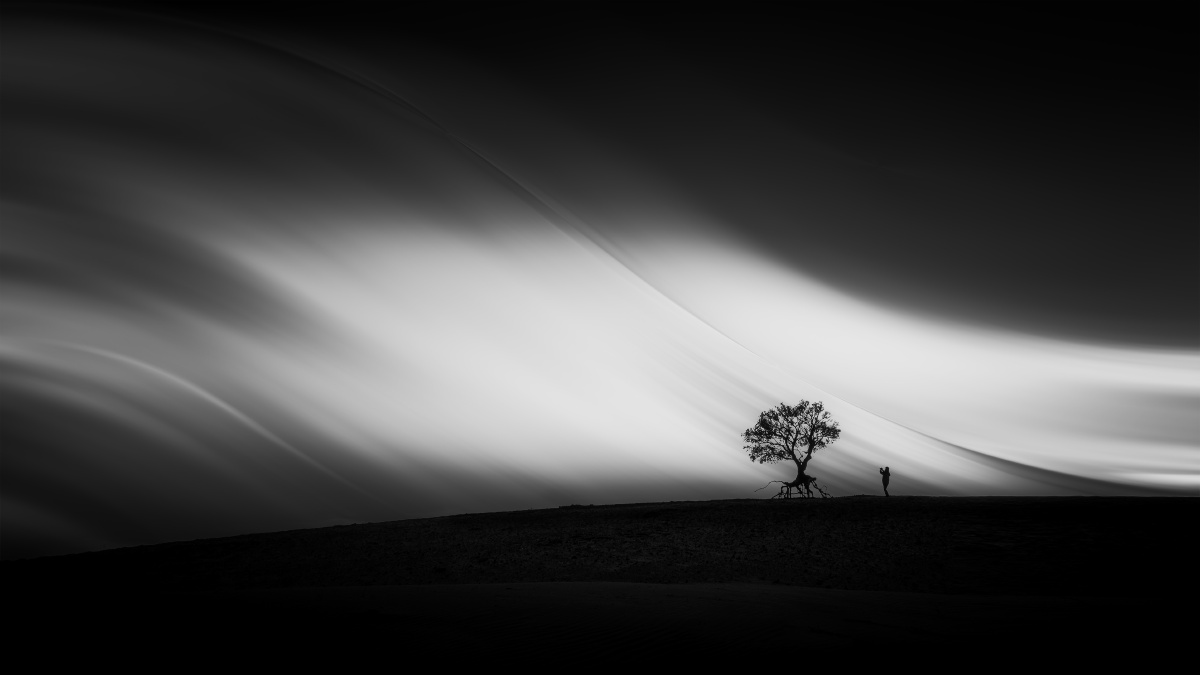 科尔沁草原有很多凄凉而又美丽的充满神秘色彩的孤独的