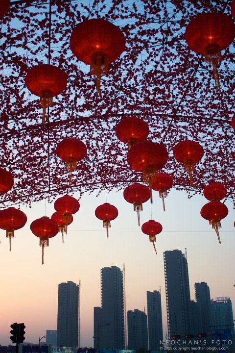 春节喜气<br />
