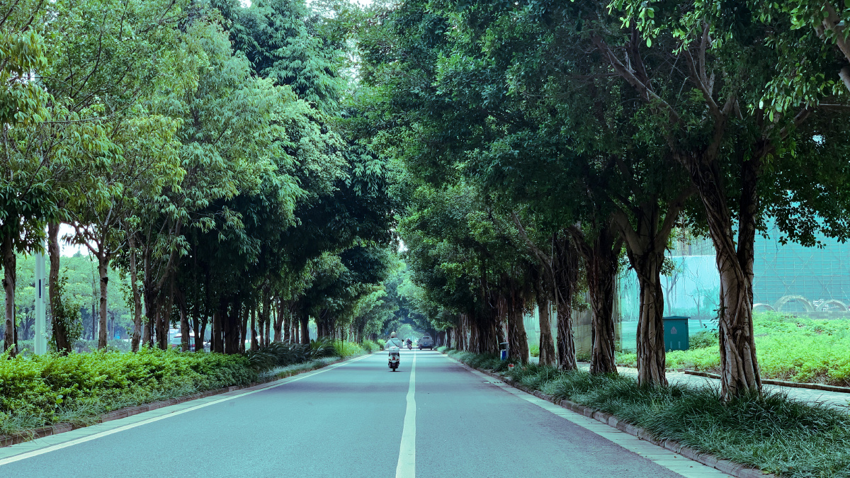 社会大多数人都不会慢下脚步感受身边的风景俗话说得也是世人慌慌张张