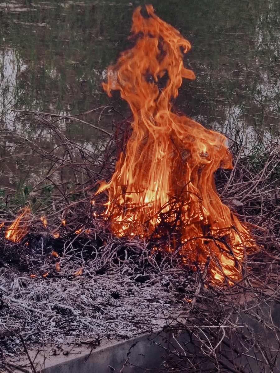 野火烧不尽春风吹又生