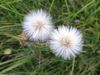 20120928882.jpg