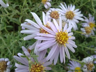 20120928883.jpg