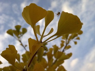 20120928884.jpg