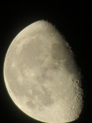 1000024626