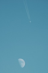1000154516