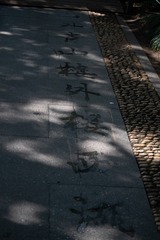 1000016582