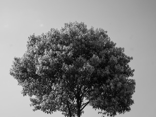 925314