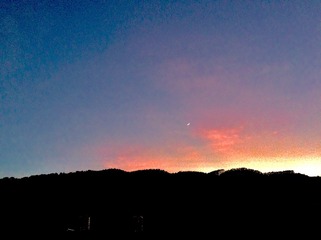 C877641B-E678-4AAF-BBDE-D12F63B75AE8/L0/001