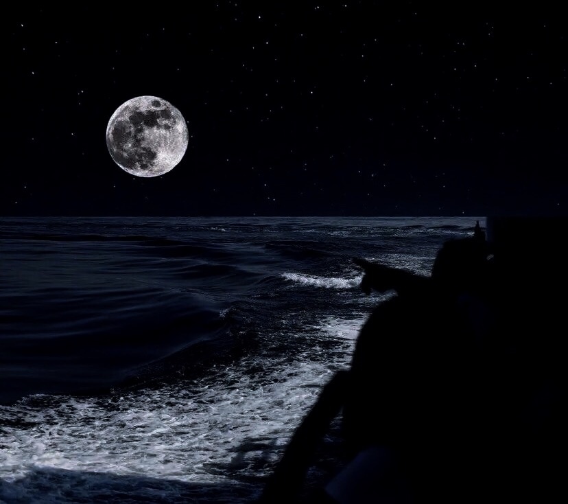 星星躲入云里而月亮掉入海里