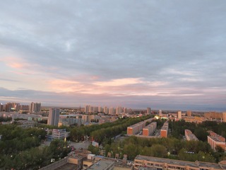 754513