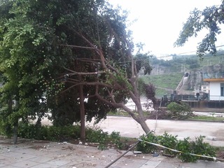 2012-07-23 16.16.54.jpg