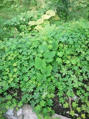 2012-07-23 16.53.49_副本.jpg