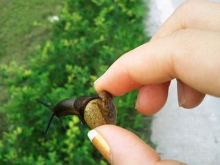 2012-07-23 16.39.47_副本.jpg
