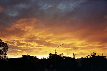 _20_0016.jpg