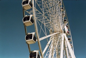 _0A_0290.jpg