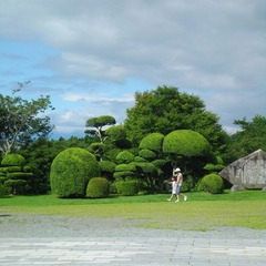 DSCN3684.JPG