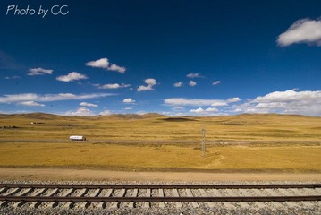 DSC_0276.jpg
