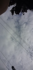 81007