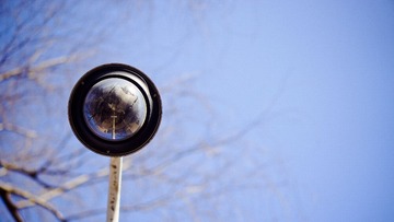 DSC07694-1.jpg