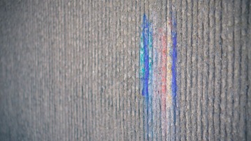 DSC07696-1.jpg