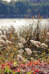 DSC06837-1.jpg