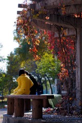 DSC06859-1.jpg