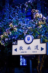 DSC02142-1.jpg