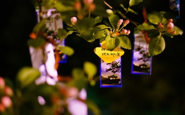 DSC02110-13.jpg