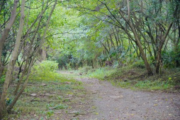 164CD907-2FA1-495E-A220-E25D9242011B/L0/001